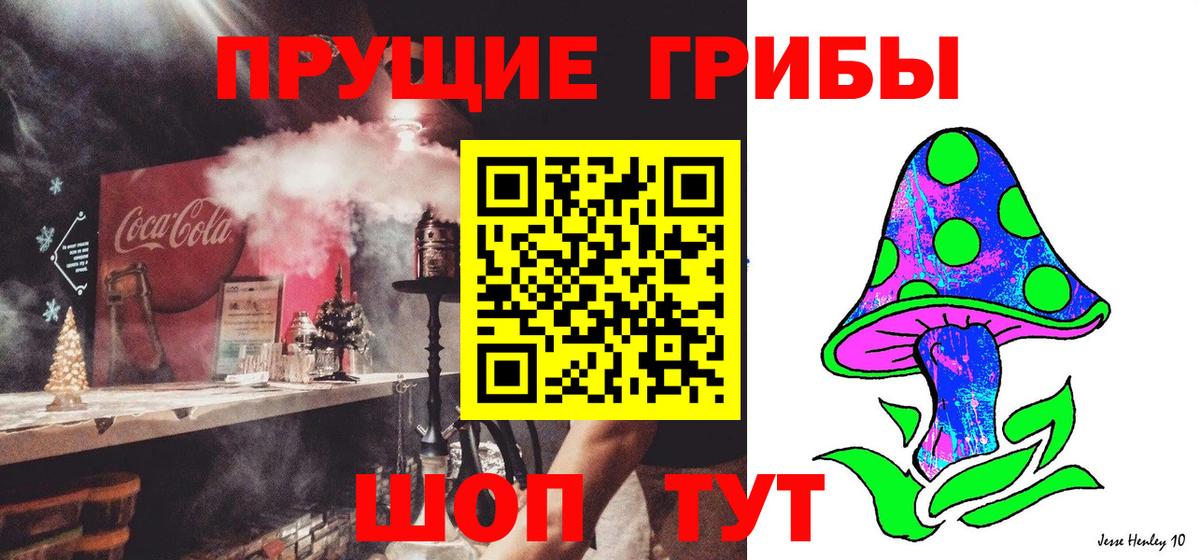 Можайск  Галлюциногенные грибы мицелий  Вход с VPN 