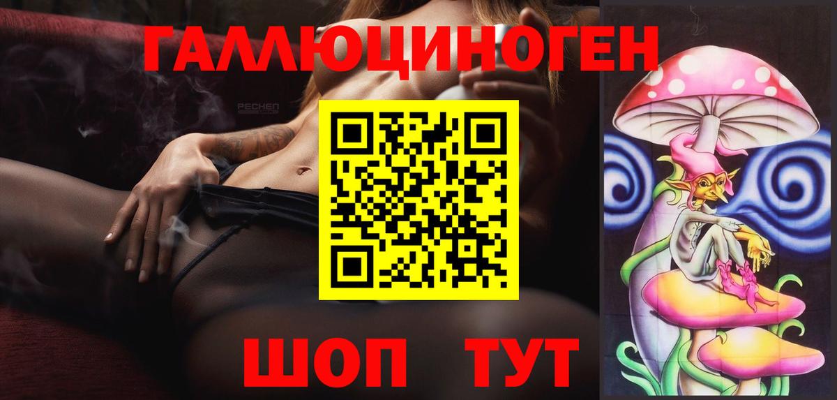 Псилоцибиновые грибы Psilocybine cubensis Можайск